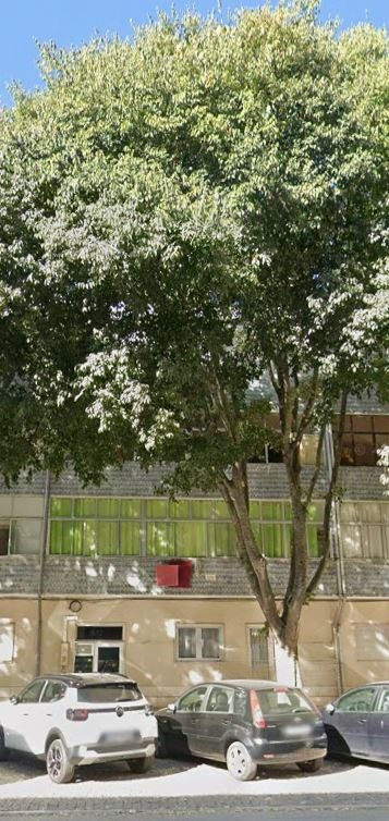 T4, Setúbal (São Sebastião) em Setúbal